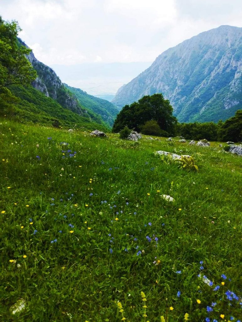 Un viaggio nel Parco Naturale Regionale Sirente-Velino: tra storia, natura e paesaggi mozzafiato